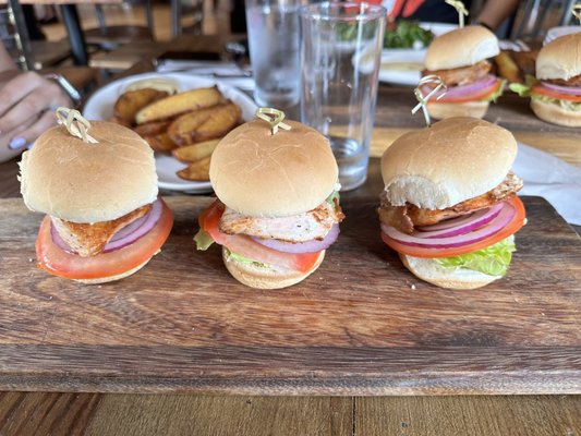 Project P.U.B. by null