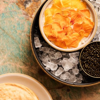 The Shelborne By Proper by null