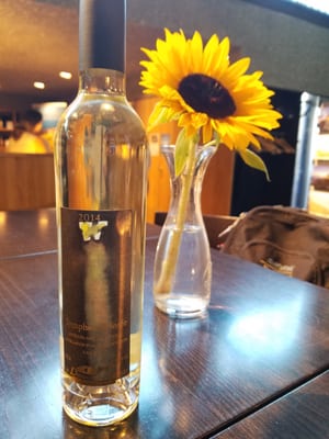 Lavaux Vinorama by null