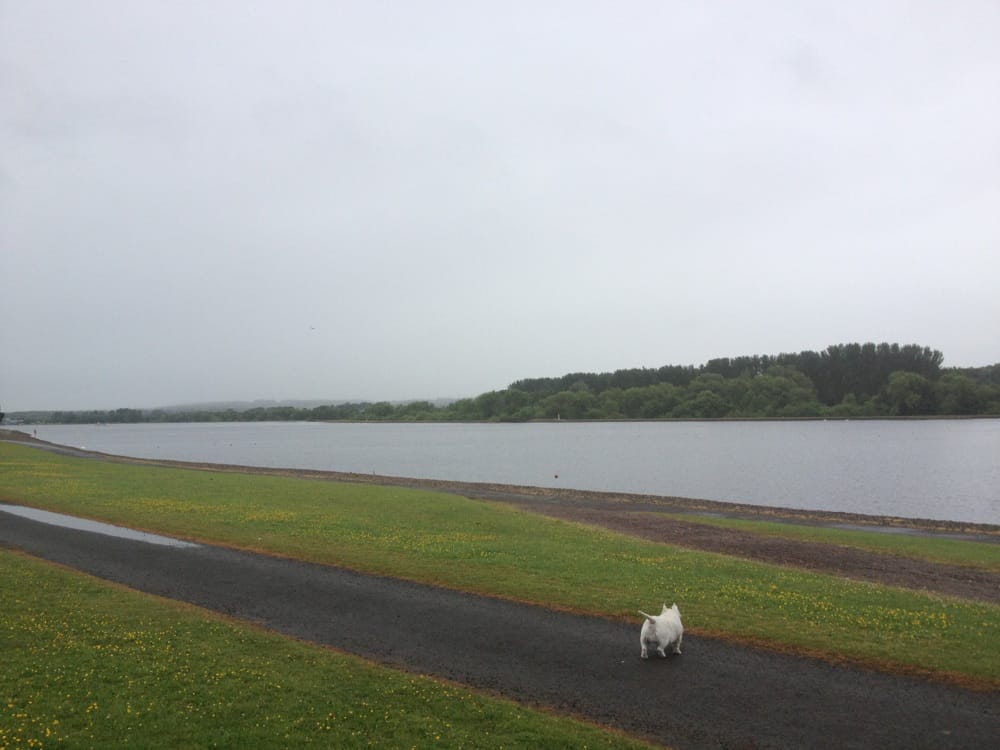 STRATHCLYDE COUNTRY PARK 19 Photos & 11 Reviews Hamilton Road