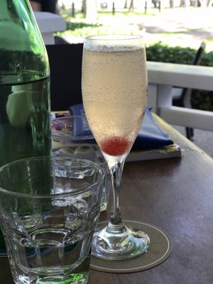 Vivo Palm Cove by null