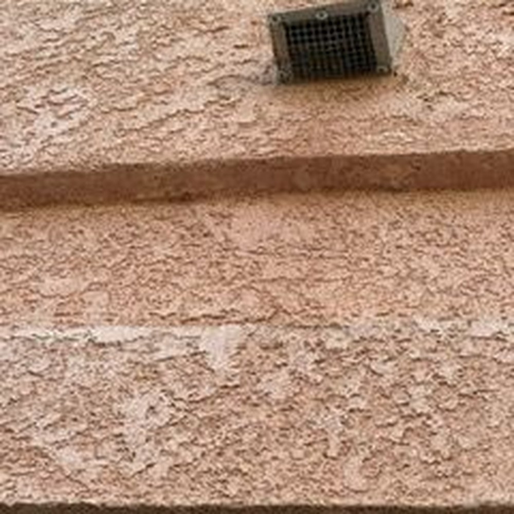 360 Rodent Control - They also place screening around all the vents. - Pest Control Near Me