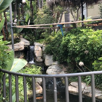 Humphreys Half Moon Inn - The hungover parrot - San Diego, CA