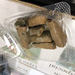 Grape leaves covered in mold. Grape leaves covered in mold.