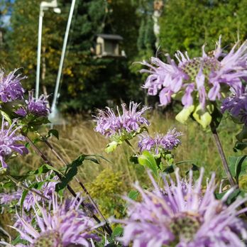 Sugarloaf Cove Nature Center - Community Service/Non-Profit Near Me - Schroeder, Minnesota