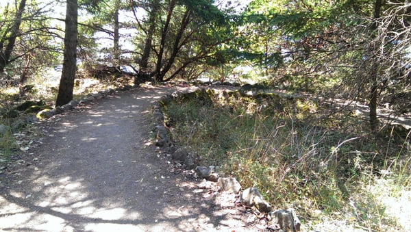 Lime Kiln Point State Park by null