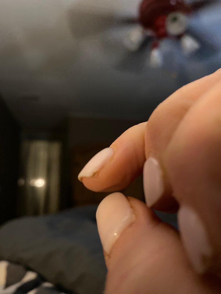 NAIL CLUB & SPA Updated August 2024 29 Photos & 15 Reviews 4310