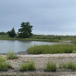 John H Chafee Nature Preserve