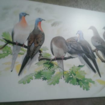 Ijams Nature Center - Parks Near Me - Knoxville, Tennessee