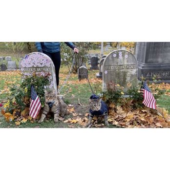 Mount Hope Cemetery - Funeral Services & Cemeteries Near Me - Rochester, New York Mount Hope Cemetery - Funeral Services & Cemeteries Near Me - Rochester, New York