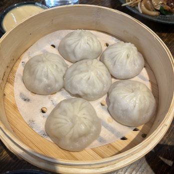 Dynasty Dumpling - B8. Original Shanghai Pork XLB  原味小籠包 ~ $10.55 - Dim Sum Near Me - San Francisco, California