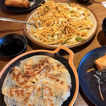 Old Li's Restaurant - Delicious Vegetable noodles and amazing fried dumplings with what's left of tasty spring rolls. - Chinese Near Me - North Charleston, South Carolina