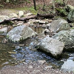 Norvin Green State Forest