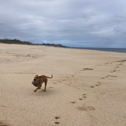 Papohaku Beach and Beach Park - No people best thing people are virus