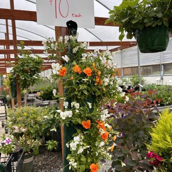 Van wingerden Greenhouses - Nurseries & Gardening Near Me - Blaine, Washington Van wingerden Greenhouses - Nurseries & Gardening Near Me - Blaine, Washington