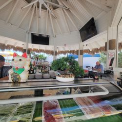 Coconuts Bar and Grill - Bar