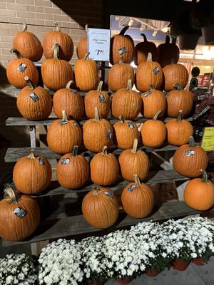 Whole Foods Market by null