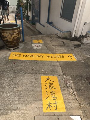 Big Wave Bay Beach by null