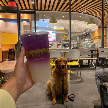 Lemonade - Clean, EXCELLENT 10/10  Staff is super friendly and the yummiest lemonade  Def a must in Huntington Beach - New American Near Me - Huntington Beach, California