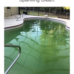 Aloha Custom Pool Builders & Service - After 2 months of care.