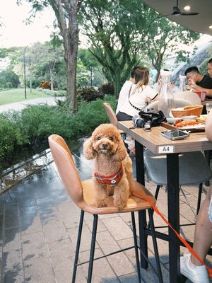 Hopscotch (Gillman Barracks) by null