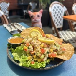 Ceviche Ceviche