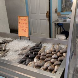 Fish Net Seafood