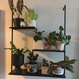Plant shelf installed by Ace Pacific Handyman Services. Plant shelf installed by Ace Pacific Handyman Services.