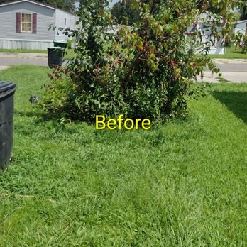 Srv Lawn - Small bush, and weeds removal - Lawn Services Near Me - Seymour, Tennessee Srv Lawn - Small bush, and weeds removal - Lawn Services Near Me - Seymour, Tennessee