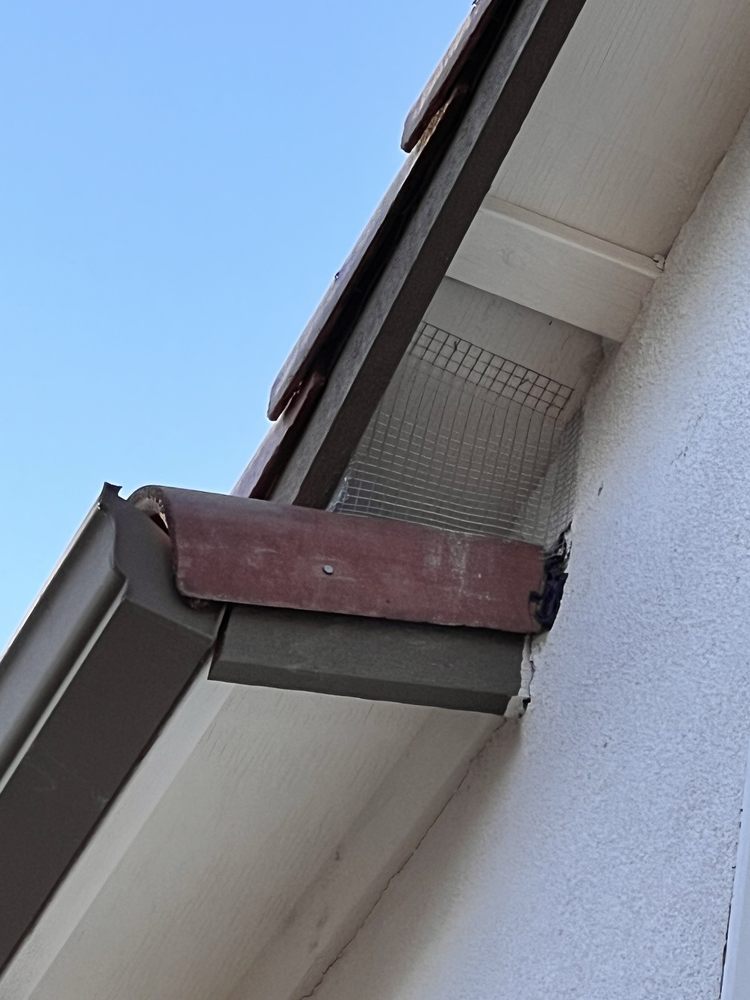 Ruffled Feathers Bird Control - veterans service organization in Sacramento, CA