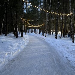 Icelynd Skating Trails - Ferry lights on the trail
