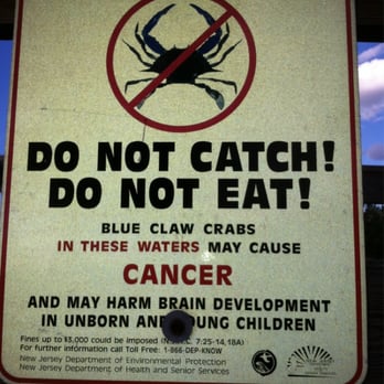 Bayonne County Park - WTF....been eating thhhhhhhhhemmmmm alllll meeeee lifeeeeeeee, ain't hurtttt mmeeeeeeee! :) - Parks Near Me - Bayonne, New Jersey
