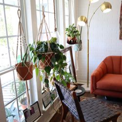 Jackalope Beauty Lounge