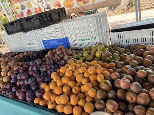 Claremont Farmers & Artisans Market by null