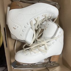 Aerodrome Ice Skating Complexes - Risport skates