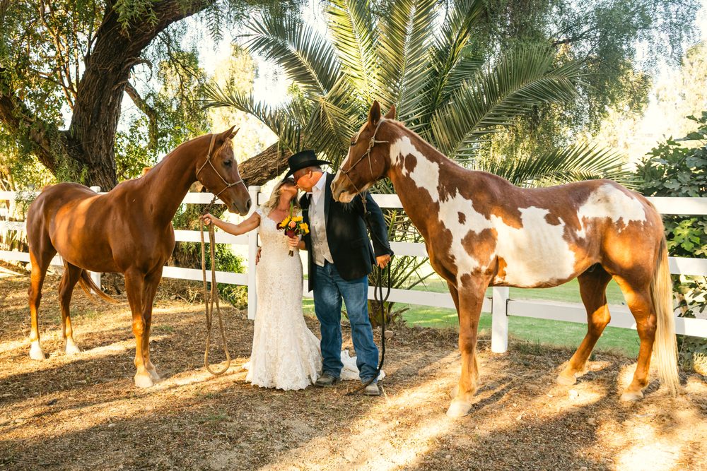 Catalina Island Horseback Adventures