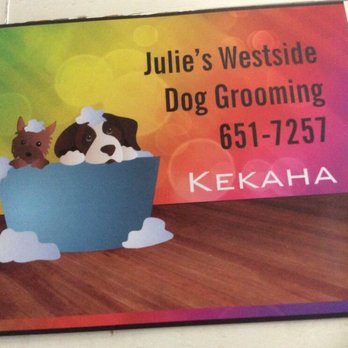 Julie Aitkenhead - Pet Groomers Near Me Julie Aitkenhead - Pet Groomers Near Me