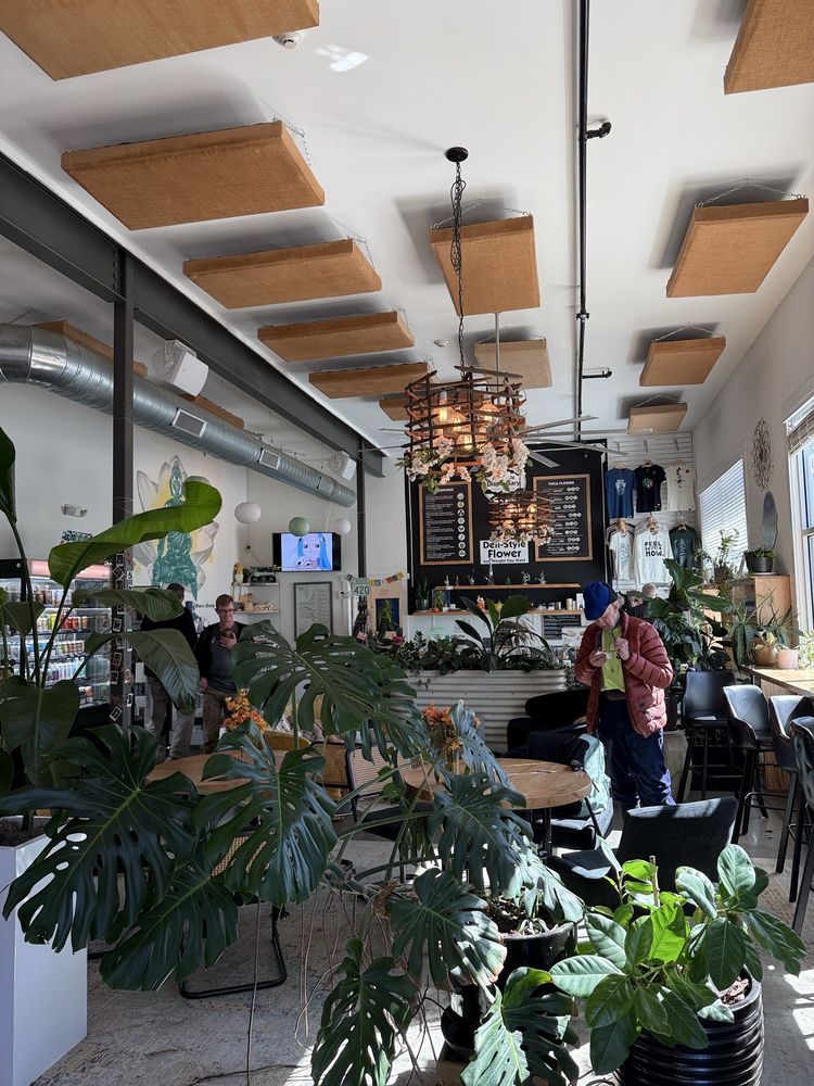 Asheville Dispensary