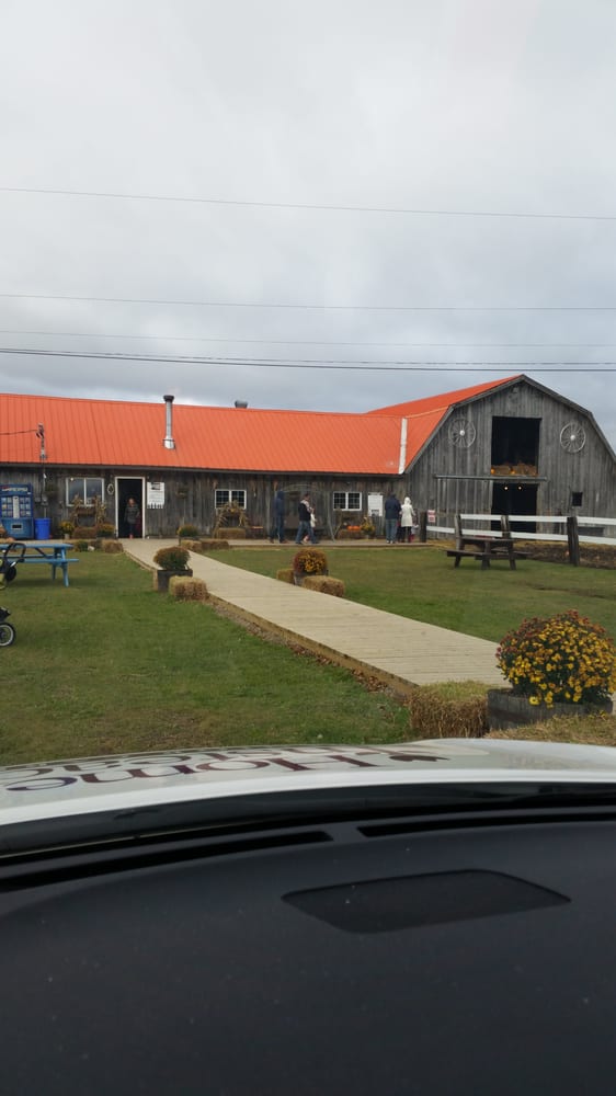 WAGONWHEEL RANCH Val Therese, Ontario Horseback Riding Yelp