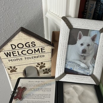 Tom Wood, DVM - 12 YO Kori, our rescue Akita, forever in our hearts - Pet Hospice Near Me Tom Wood, DVM - 12 YO Kori, our rescue Akita, forever in our hearts - Pet Hospice Near Me