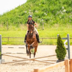 Belle Wood Equestrian