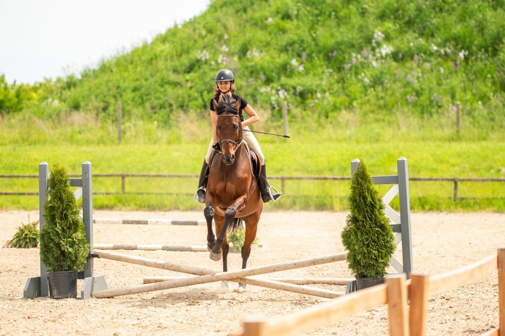 Belle Wood Equestrian Logo