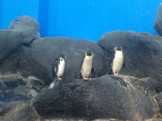 Underwater World Langkawi by null