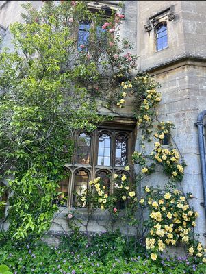 Thornbury Castle Hotel & Restaurant by null