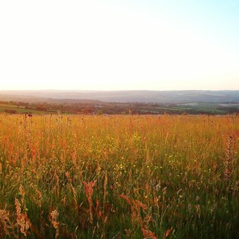 Larkhill Tipis & Yurts - Campgrounds Near Me - Carmarthen, CMN