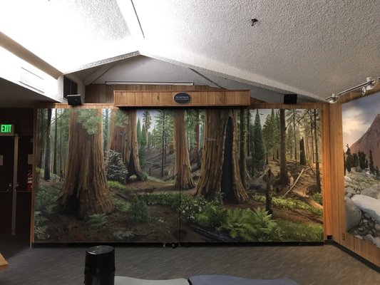 Kings Canyon Visitor Center by null