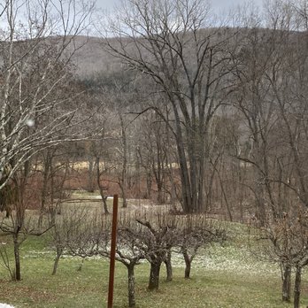 Brandywine Restaurant - Back yard to restaurant - Italian Near Me - Windham, New York