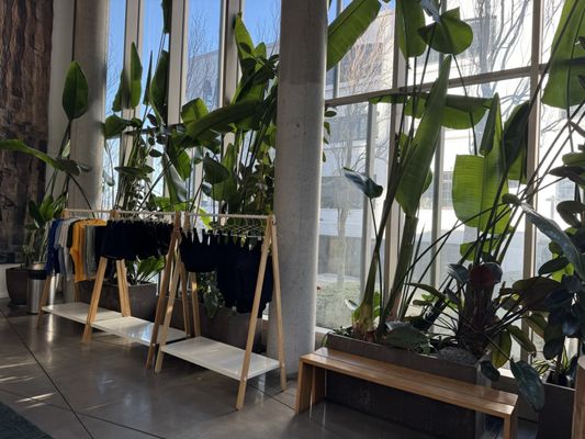 Knot Springs by null