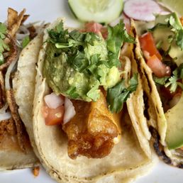 Baja California Fish Baja California Fish