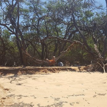 Lanai Jeep Rental - Random hammock - ATV Rentals/Tours Near Me Lanai Jeep Rental - Random hammock - ATV Rentals/Tours Near Me